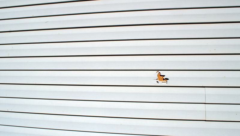 Completed Vinyl Siding Repair Job